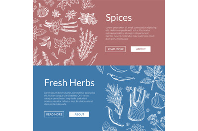 Vector hand drawn herbs and spices banners illustration