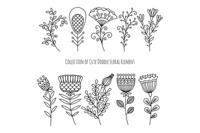 Hand drawn doodle flowers and herbs