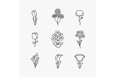 Flowers line icons