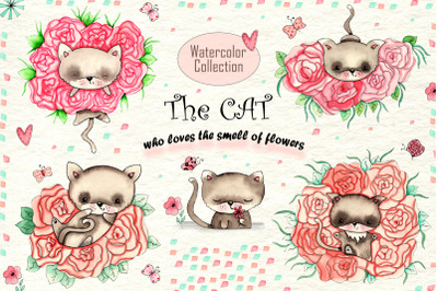 Cats and Flowers Watercolor Collection