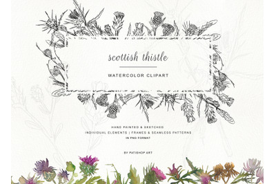 Hand Painted &amp; Sketched Thistle Clip Art - Separate Elements Seamless