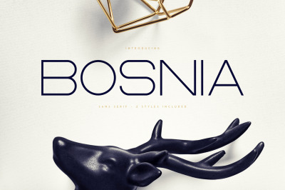 Bosnia - Sans Serif font | 2 styles