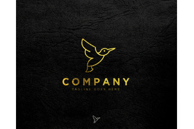 elegant line flying hummingbird logo template, icon element isolated