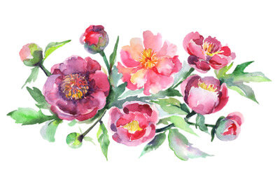 Bouquet with pink peonies Watercolor png