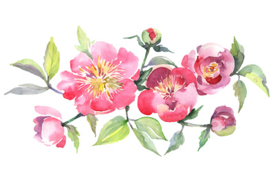 Bouquet with tea pink roses Watercolor png