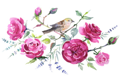 Bouquet with roses and a bird Watercolor png