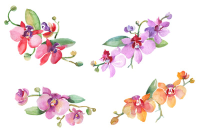 Branch with orchids Watercolor png