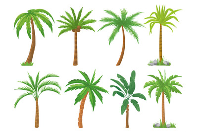 Palm trees. Tropical tree green leaves, beach palms and retro californ