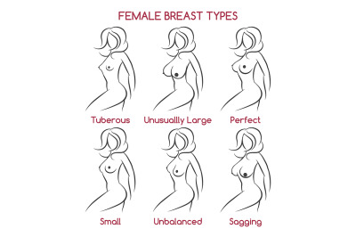 Female Breast Types