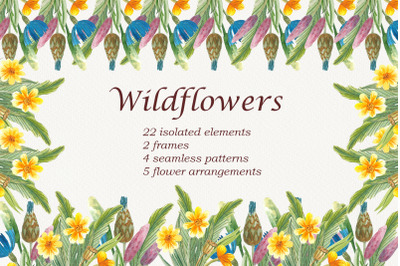 watercolor wildflowers