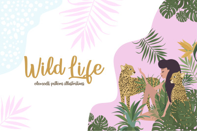 Wild Life Collection
