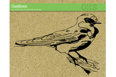 swallows bird svg, svg files, vector, clipart, cricut, download