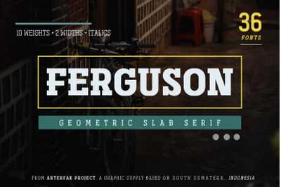 Ferguson Slab Font Family