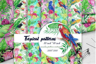 Tropics. Seamless patterns .Parrots,COCKATOOS, MACAWS.TOUCAN