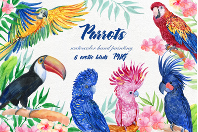 Parrots clipart, watercolor illustrations