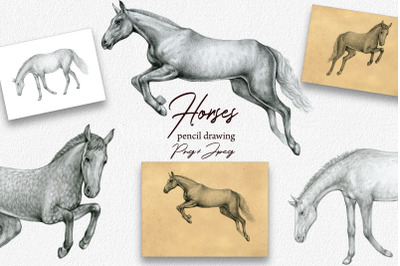 Horses Clipart.Hand Drawn