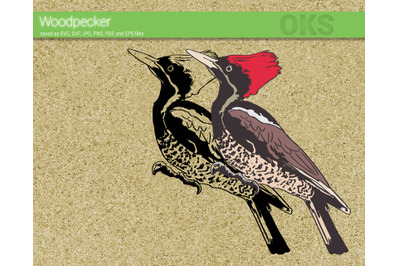 woodpecker svg, svg files, vector, clipart, cricut, download