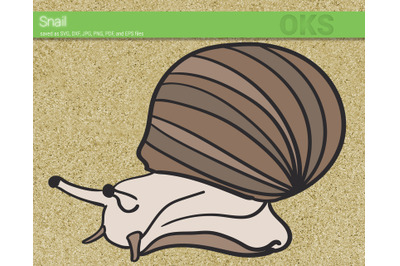 snail svg, svg files, vector, clipart, cricut, download