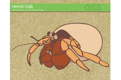 hermit crab svg, svg files, vector, clipart, cricut, download