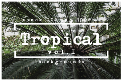 Tropical backgrounds textures nature overlays