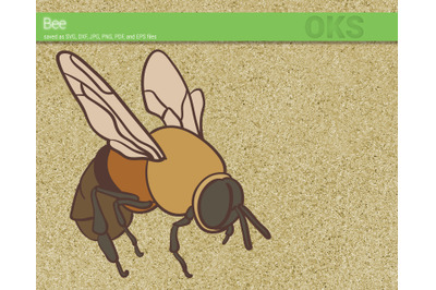 bee svg, svg files, vector, clipart, cricut, download