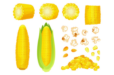 Cartoon corn. Golden maize harvest, popcorn corny grains and sweet cor