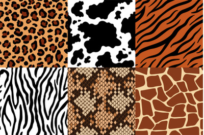 Animal skins pattern. Leopard leather&2C; fabric zebra and tiger skin. Sa