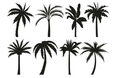 Palm trees silhouettes. Tropical leaves&2C; retro palms tree and vintage