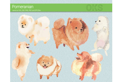 pomeranian watercolor clipart, instant download, png