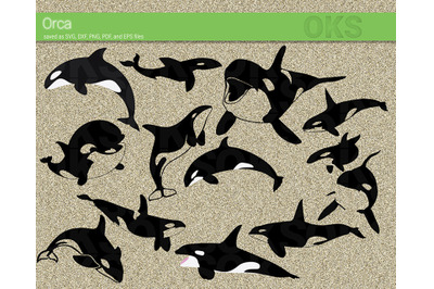 400 3547043 z2ydcqpghvictcgrjb75jmq9kcmpanyc592cjuup orca svg killer whale svg files vector clipart cricut download