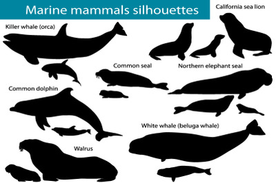 Marine mammals silhouettes