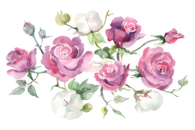 Bouquet with pink &nbsp;roses and cotton watercolor png