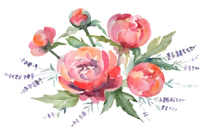 Bouquet with peonies and lavender red Watercolor png