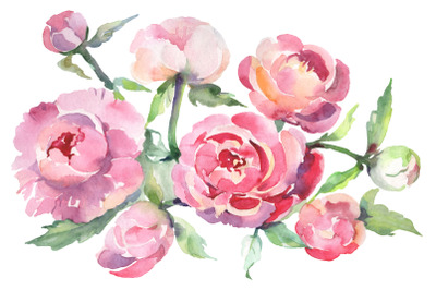 Bouquet with peonies Watercolor png