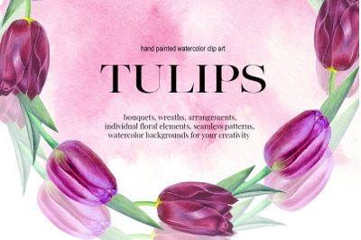 TULIPS. SPRING BOUQUET. Hand painteg watercolor clip art.