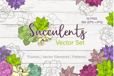 Succulents Vector Set