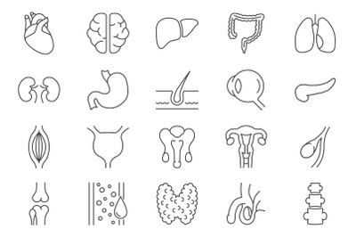 Human Internal Organs Vector Icons Set