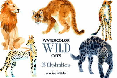 Watercolor WILD cats