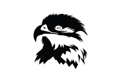 eagle head with balck and white colors
