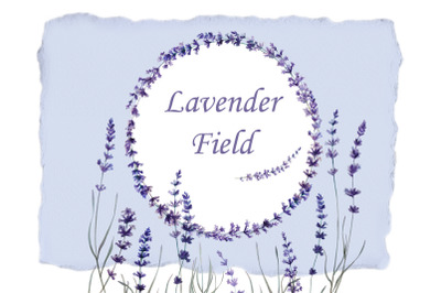 Lavender Field Watercolor Set