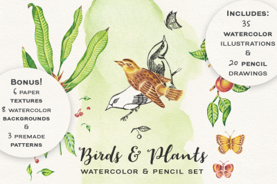 Birds and Plants Watercolor and Pencil Set
