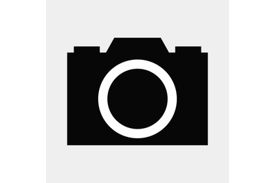 Camera icon