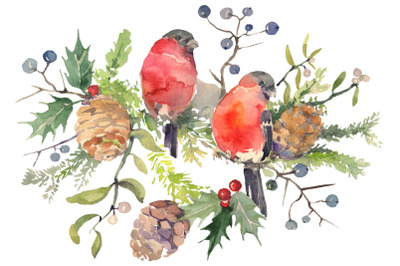 Christmas bouquet with bullfinch Watercolor png
