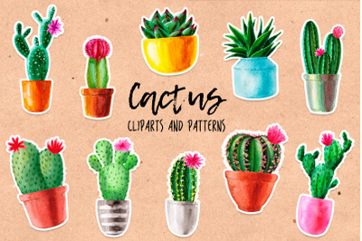 Watercolor Cactus. Cacti Patterns