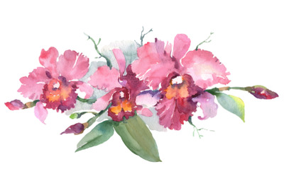 Branch of pink orchids watercolor png