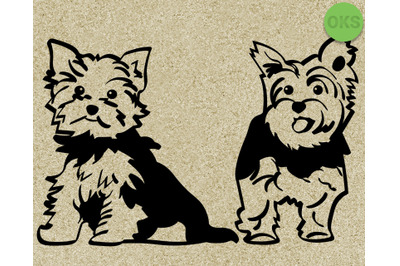 yorkshire terrier svg, dogs svg files, vector, clipart, cricut, downlo