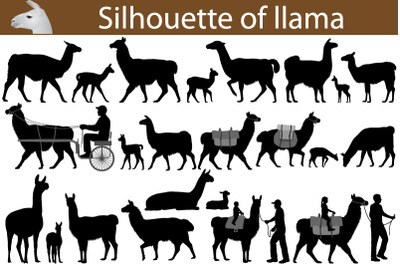 Silhouette of llama