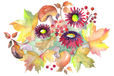 Bouquet with asters and mushrooms Watercolor png