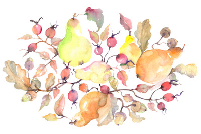 Branch of pears Watercolor png