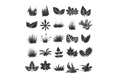 Leaves and grass silhouettes on white background